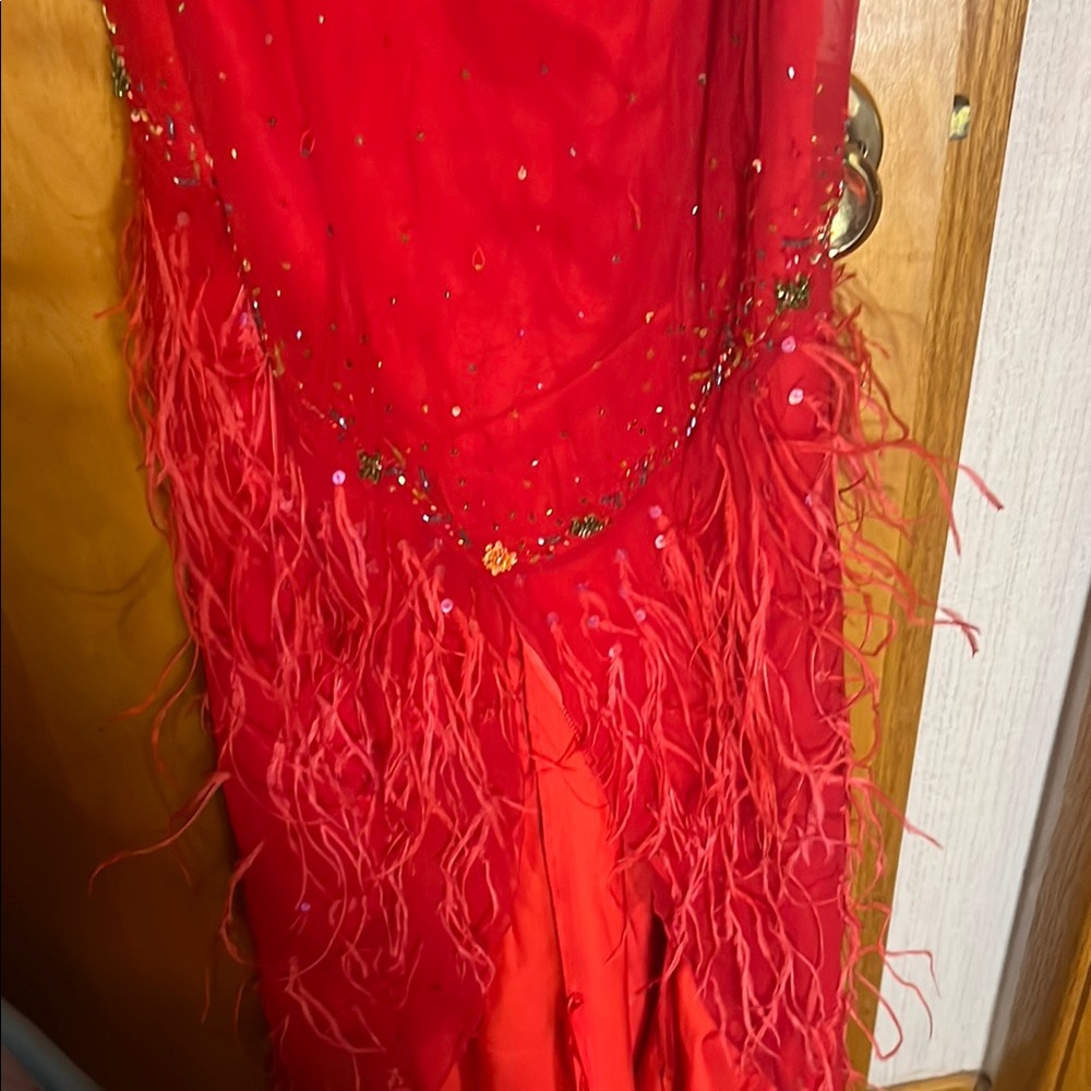 Elegant Red Feathered Gown